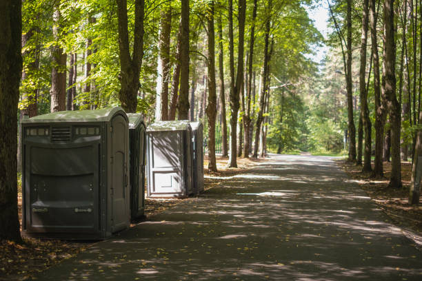 Best Affordable porta potty rental  in Hornell, NY